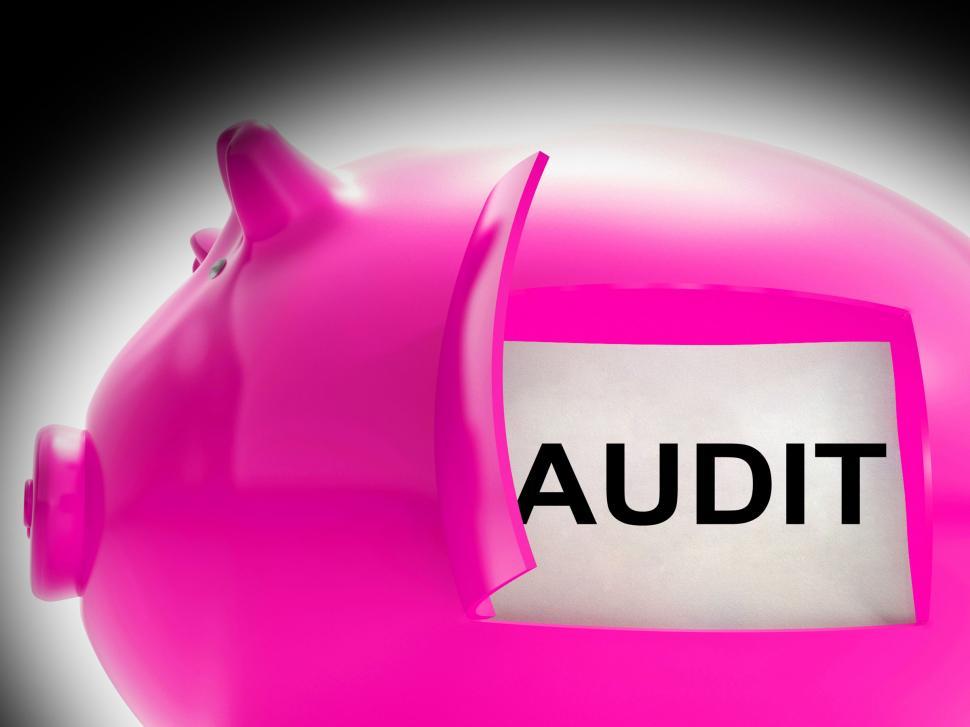 Free Image of Audit Piggy Bank Message Means Inspection And Validation 