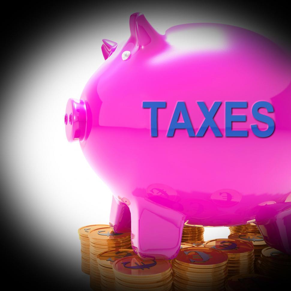 Free Image of Taxes Piggy Bank Coins Means Taxed Income And Tax Rate 