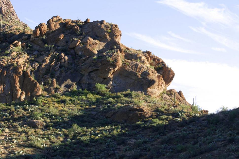 Free Image of sonoran desert tucson cactus landscape mountains rocks terrain rugged rocky 