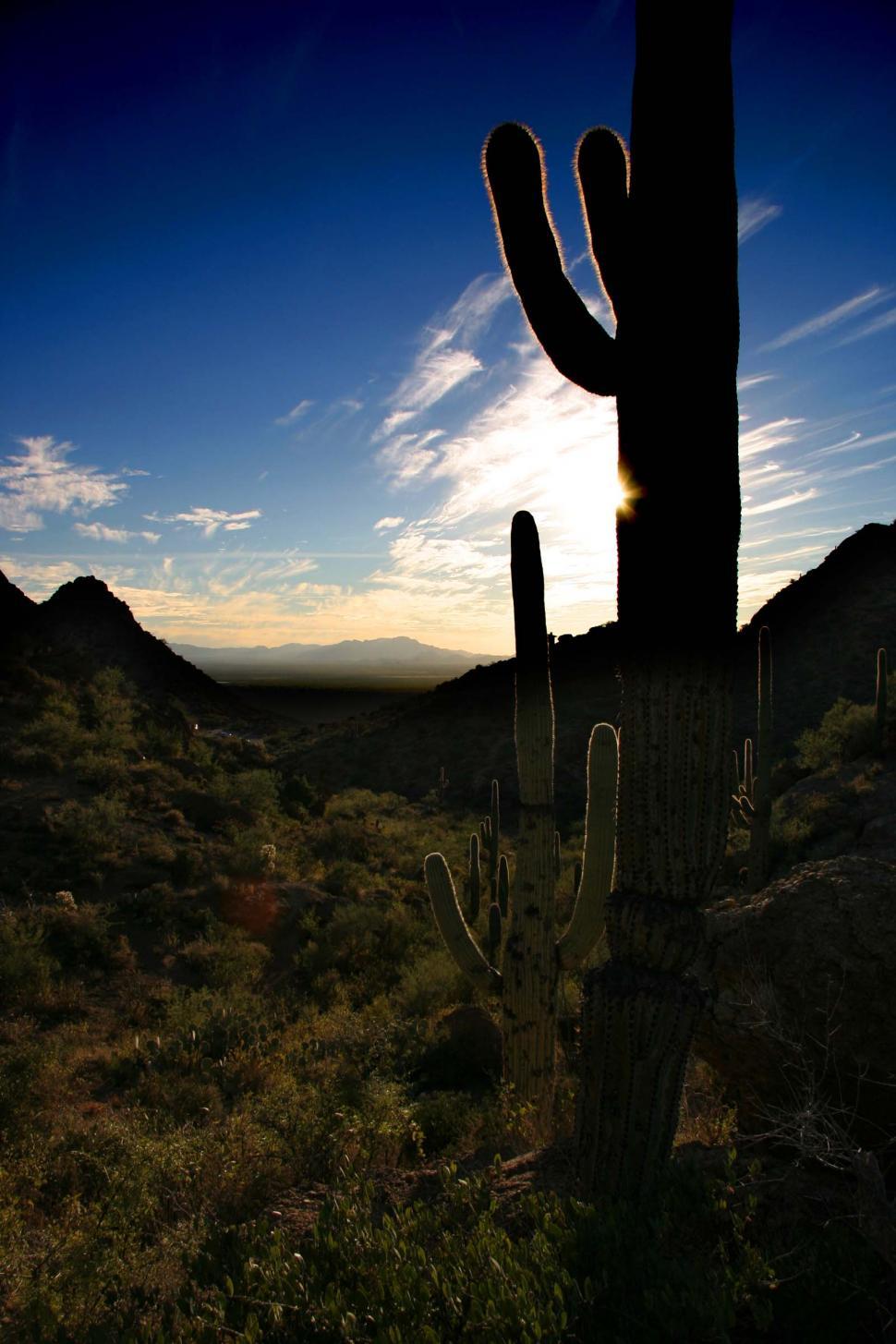 Free Image of sonoran desert tucson saguaro sahuaro cactus landscape dramatic sunset sky clouds silhouette backlight backlit valley mountains beautiful beauty rugged terrain 