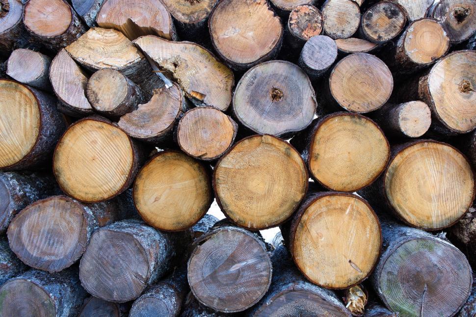 Free Image of Pile of wood logs 