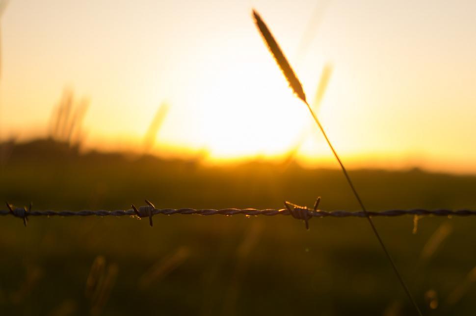 Free Image of Sun Setting Behind Barb Wire Fence 