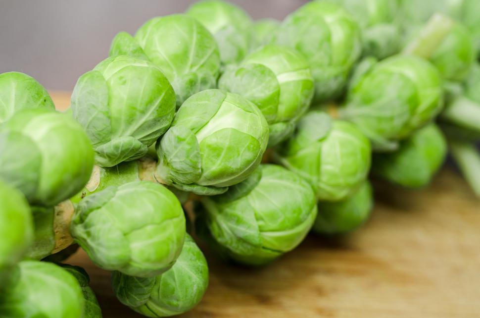 Free Image of Brussel sprouts 