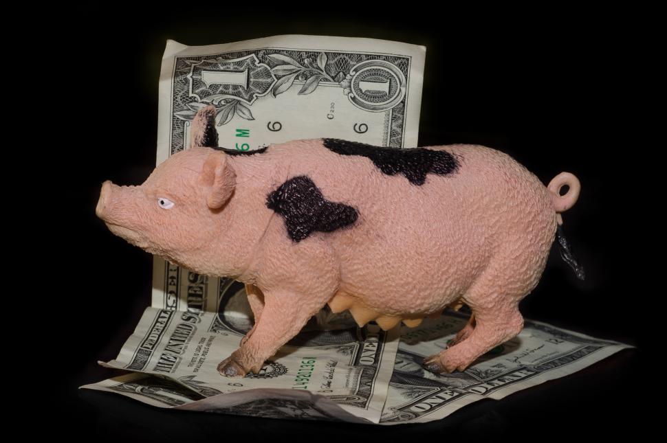 Free Image of Pig Figurine on Pile of Money 