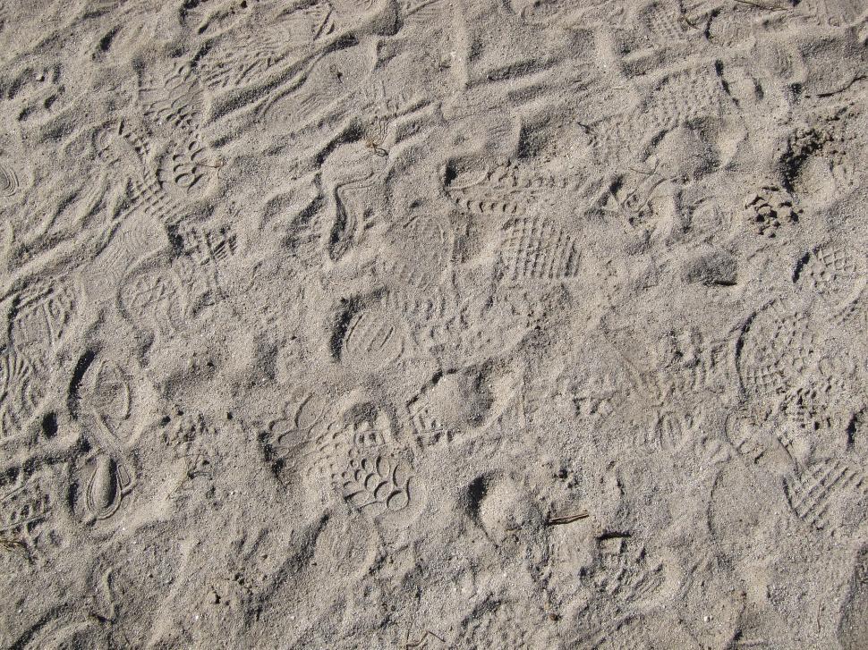 Free Image of Prints in the Sand 