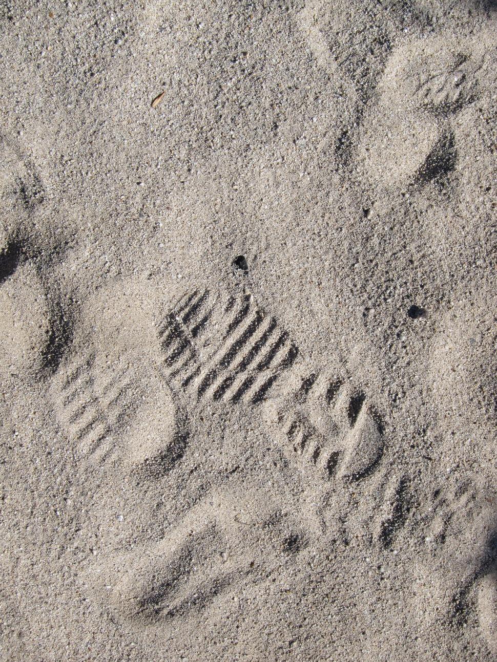 Free Image of Footprint in Sand 