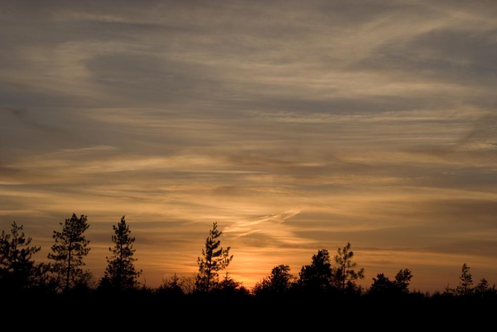 Free Image of Sun Setting Over Trees in the Distance 