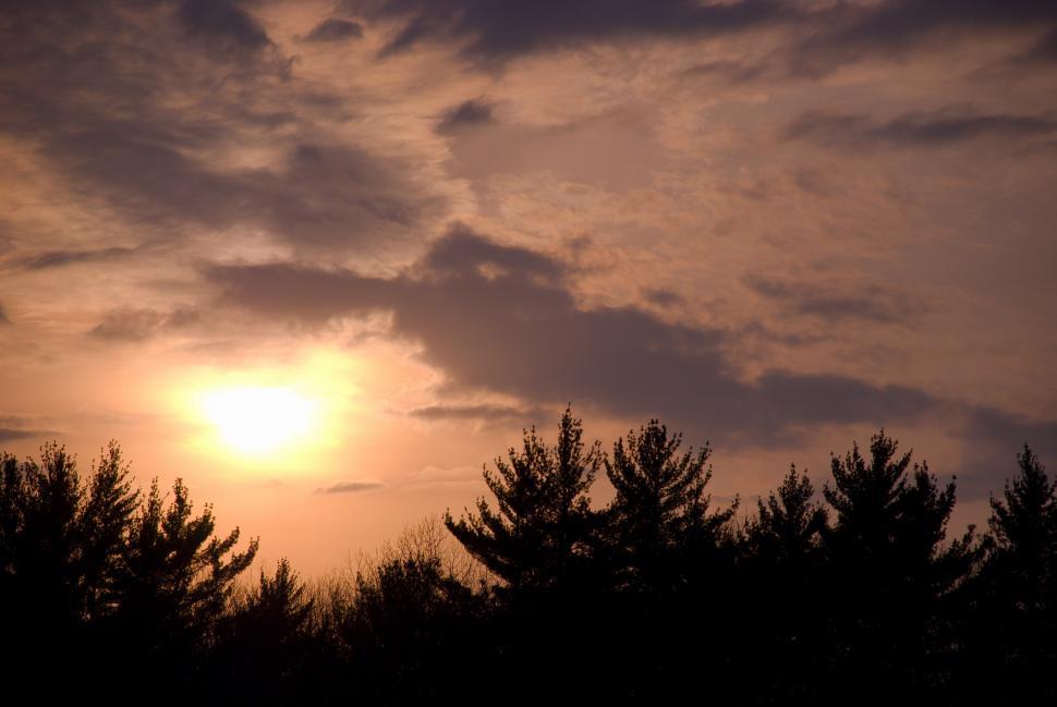 Free Image of Sun Setting Behind Trees 