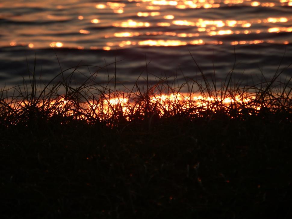 Free Image of Ocean Waves at Sunset  