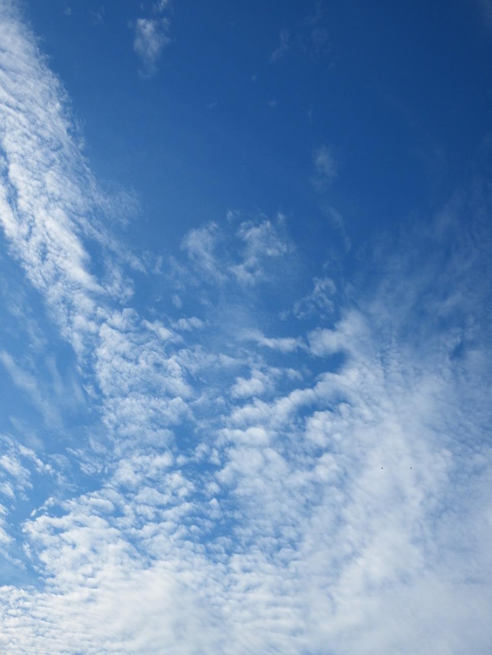 Download Free Stock Photo of Blue Sky and Fluffy White Clouds  