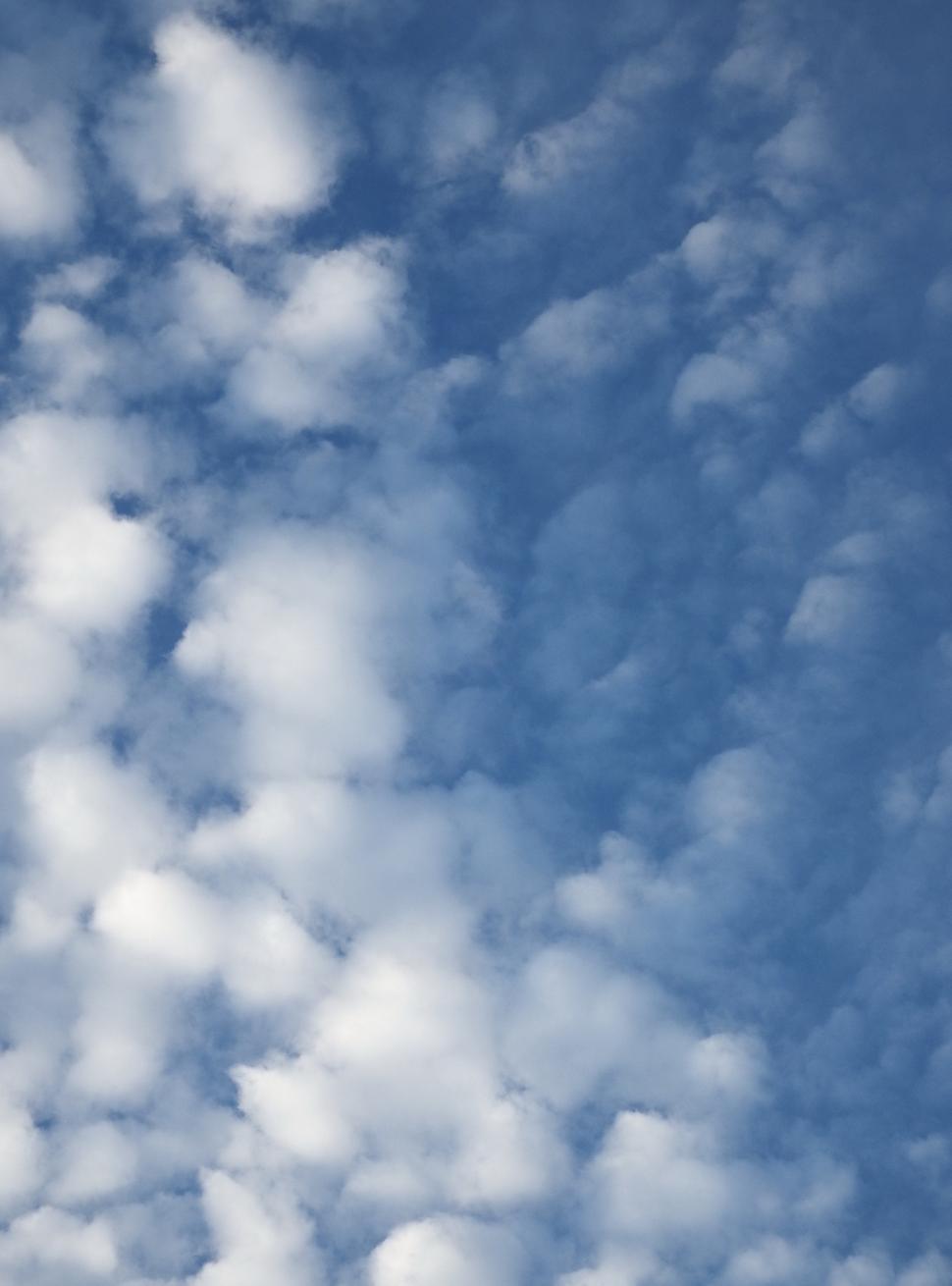 Free Image of Blue Sky and Broken White Clouds  