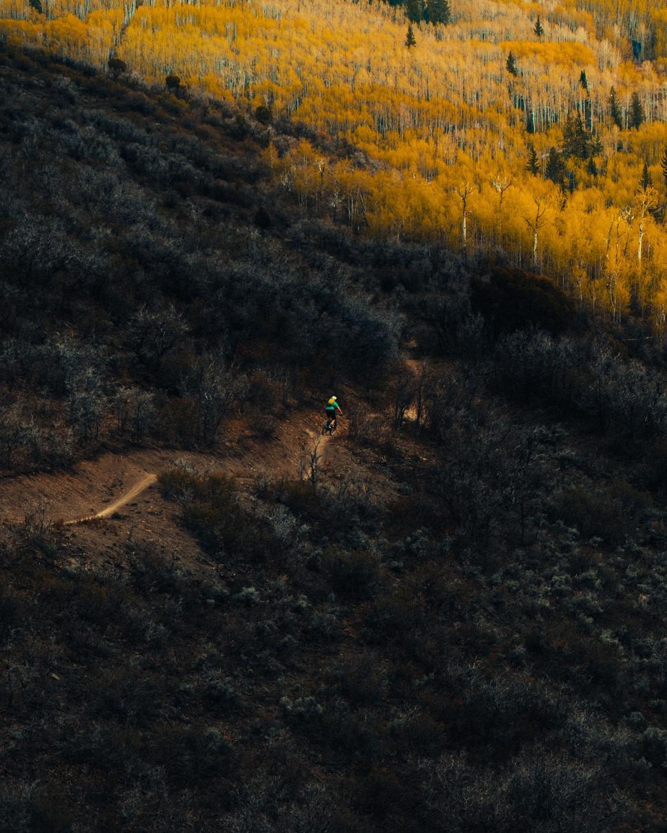 Free Image of A cyclist in the mountain forest  