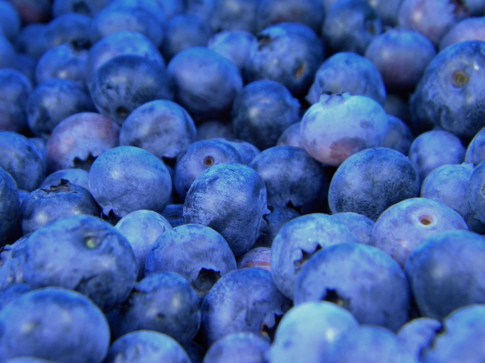 Free Image of A Pile of Blueberries on a Table 