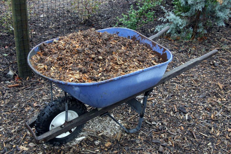 Free Image of wheelbarrow yard garden tools mulch bark dirt rain wet 
