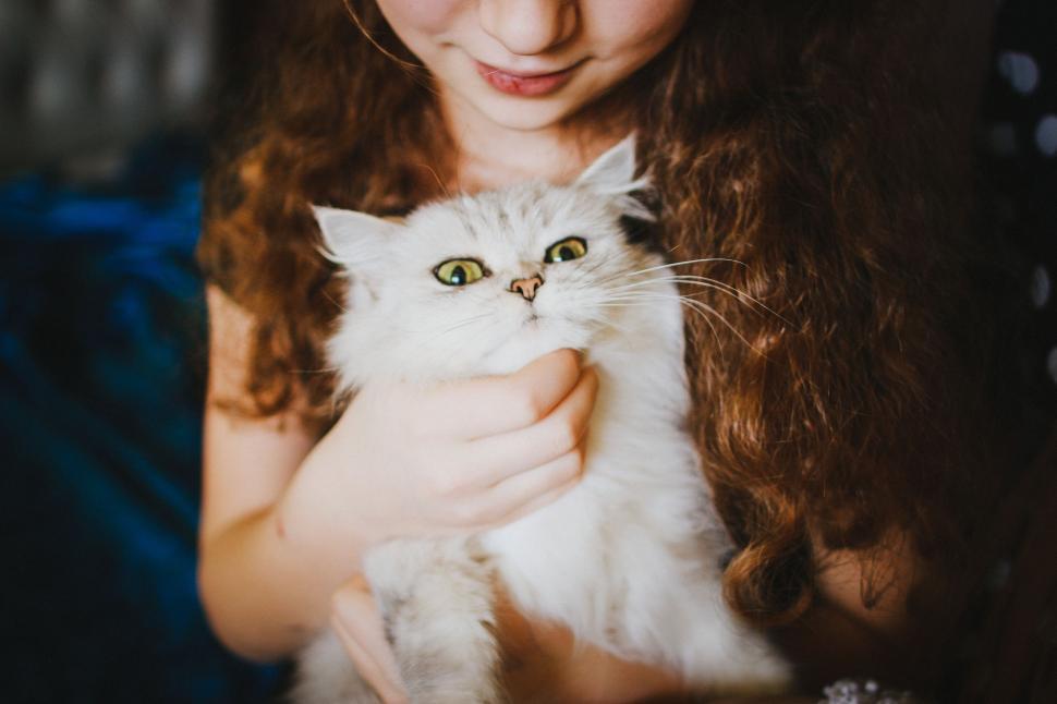 Free Image of Woman Holding White Cat in Her Arms 