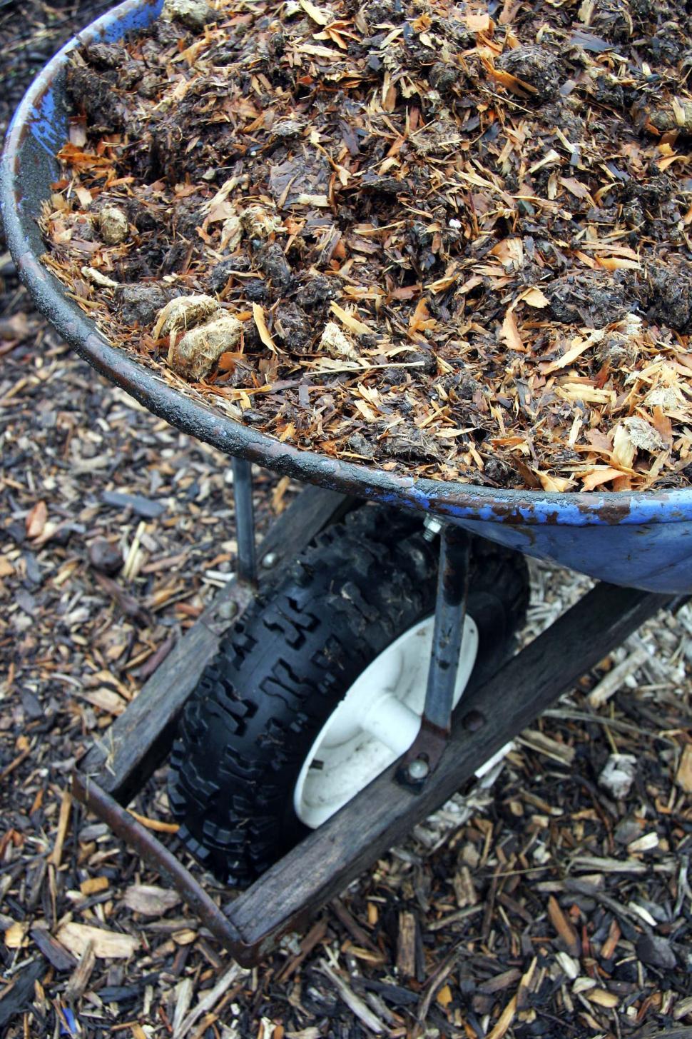 Free Image of wheelbarrow yard garden tools mulch bark dirt rain wet 