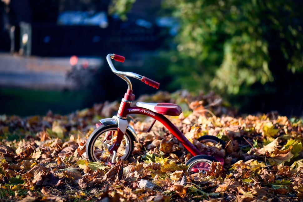 Free Image of Red and White Tricycle in Pile of Leaves 