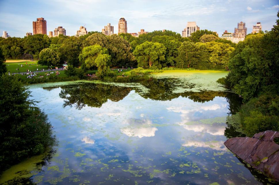 Free Image of Lake Surrounded by Trees and Buildings 
