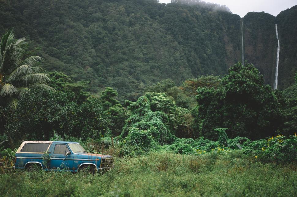 Free Image of Blue Truck Parked in Lush Green Forest 
