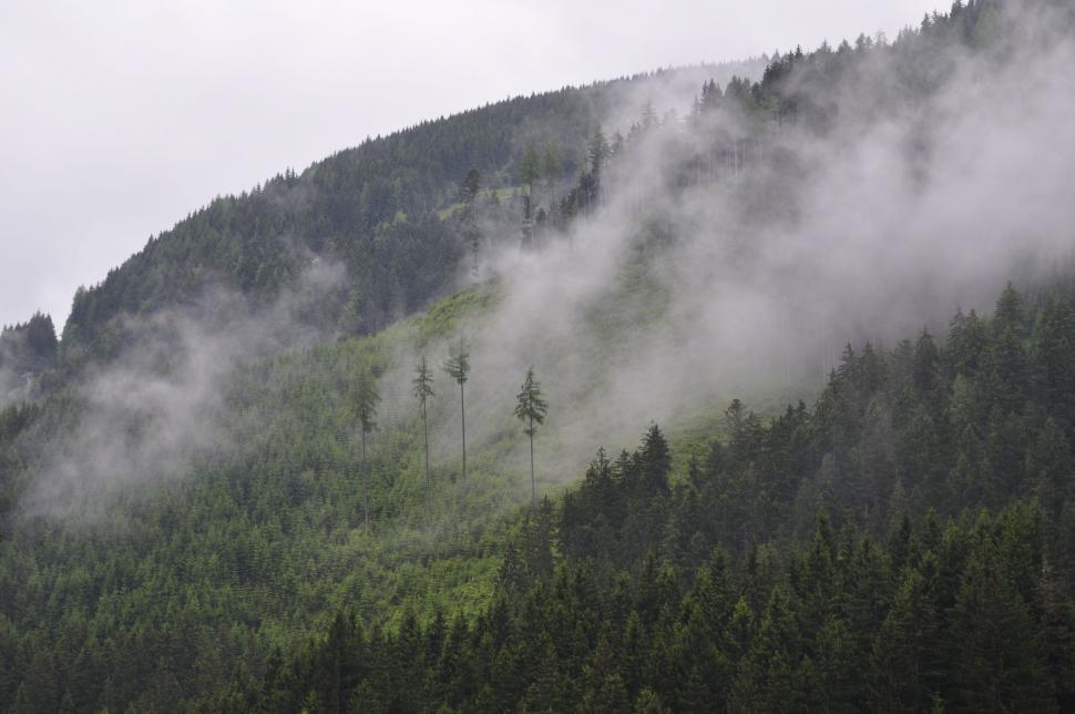 Free Image of Misty Mountain and Trees on Cloudy Day 