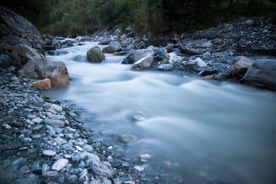 Free Image of River Flowing Through Forest Filled With Rocks 