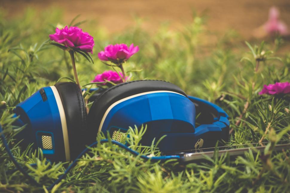Free Image of Headphones Resting in the Grass 