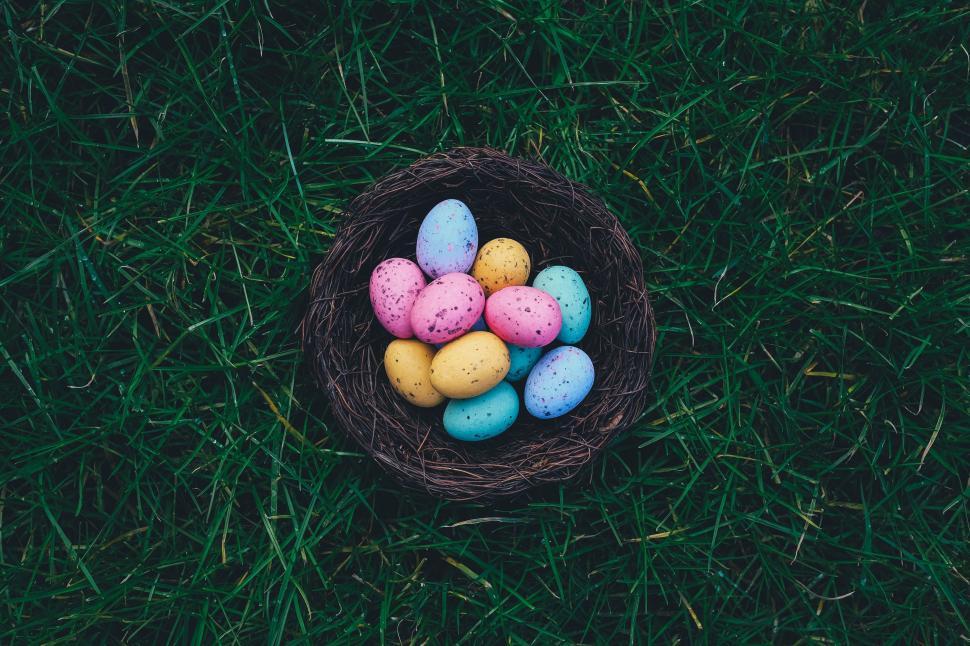 Free Image of Birds Nest Filled With Colored Eggs on Green Grass 