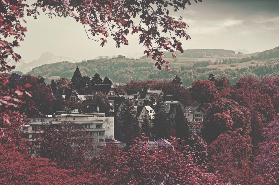 Free Image of Cityscape Surrounded by Trees 