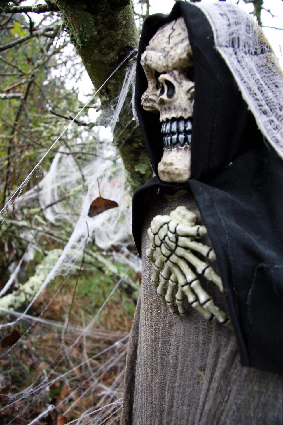 Free Image of Skeleton Statue Wearing Black Cape 