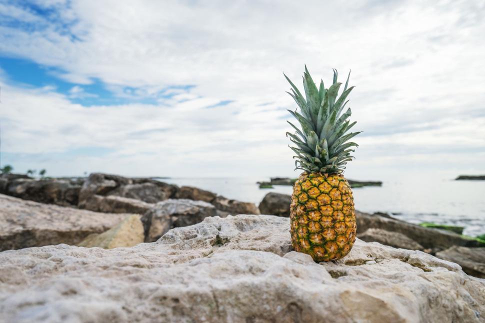 Free Image of Pineapple on Rock by Ocean Shore 