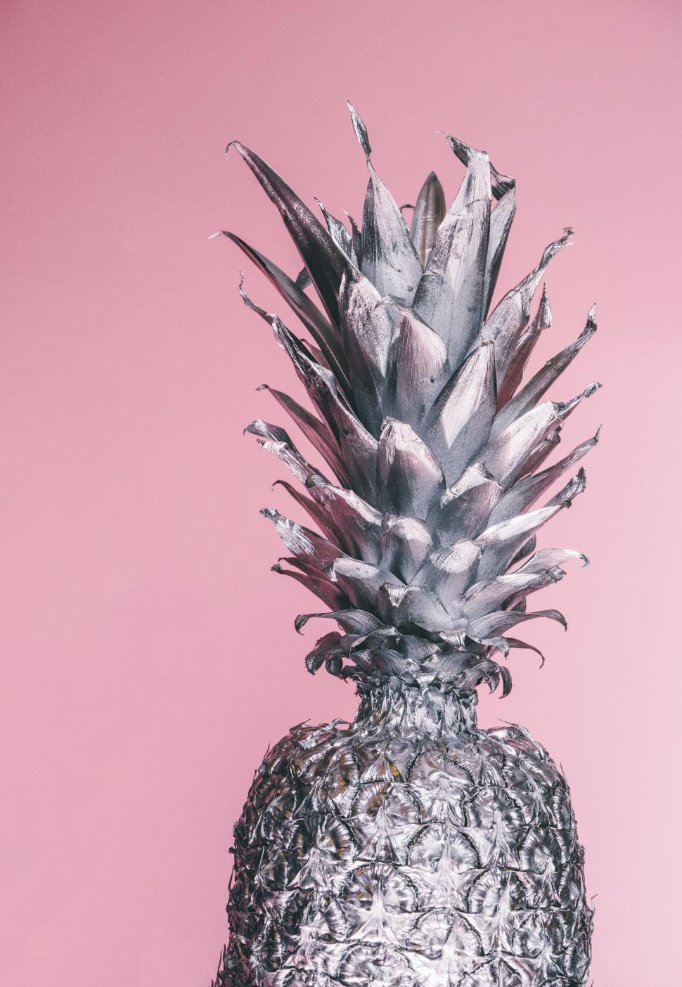 Free Image of Black and White Pineapple 