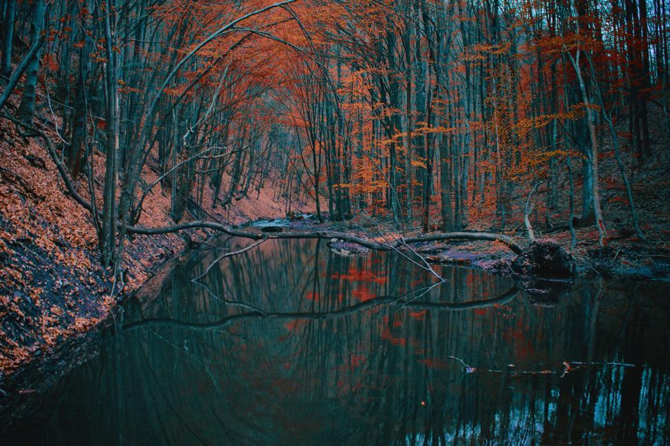 Free Image of River Surrounded by Trees With Red Leaves 