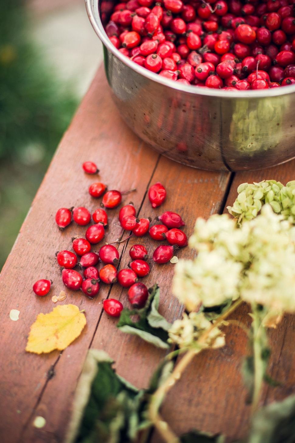Free Image of Metal Bowl Filled With Red Berries and Green Leaves 