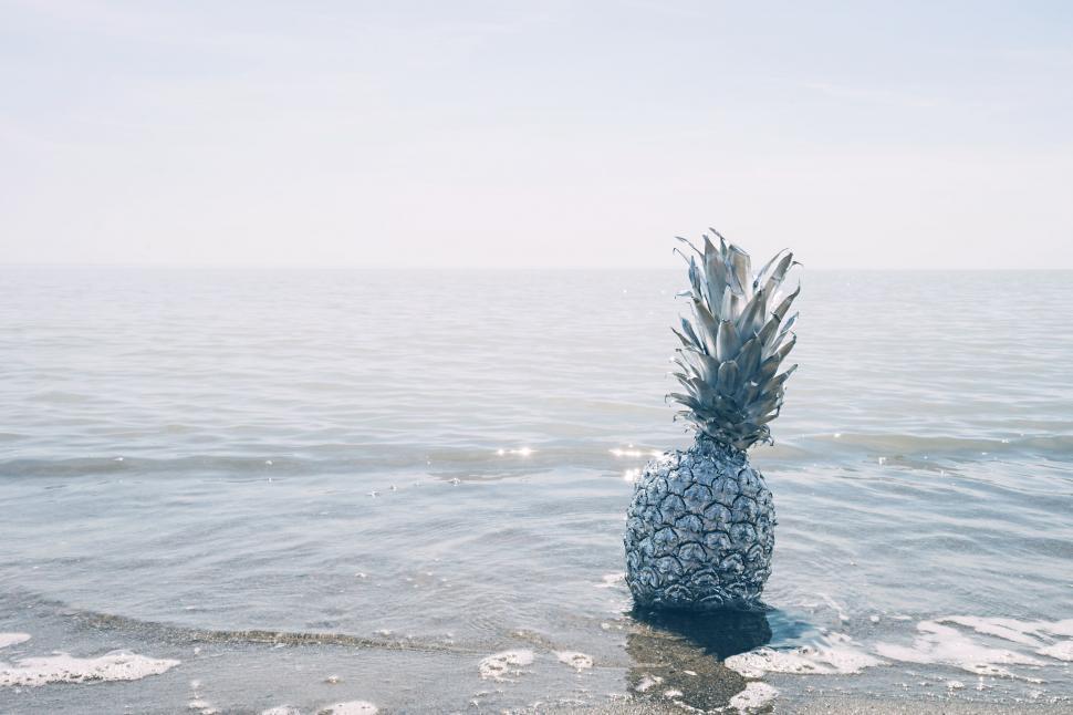 Free Image of Pineapple Floating in the Middle of a Lake 