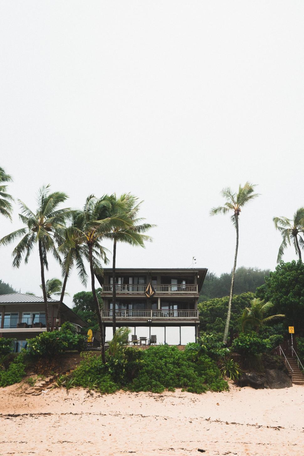 Free Image of House on Beach With Palm Trees 