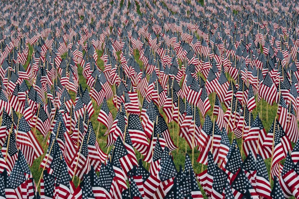 Free Image of Field Full of American Flags in the Grass 