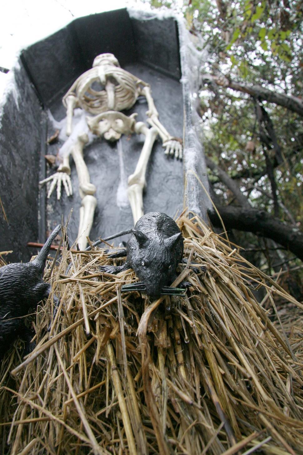 Free Image of Fake Skeleton Sitting on Pile of Hay 