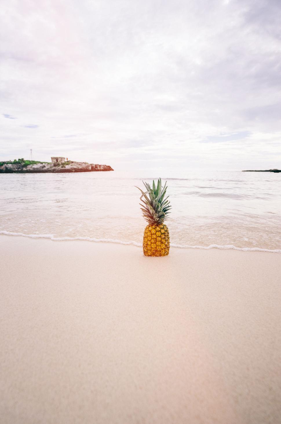 Free Image of Pineapple on Sandy Beach 
