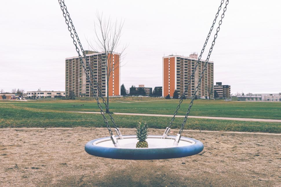 Free Image of Swing With Two Pineapples in Park 