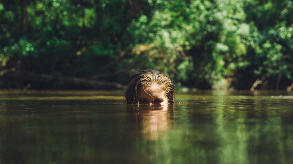 Free Image of Dog Swimming in River With Trees 