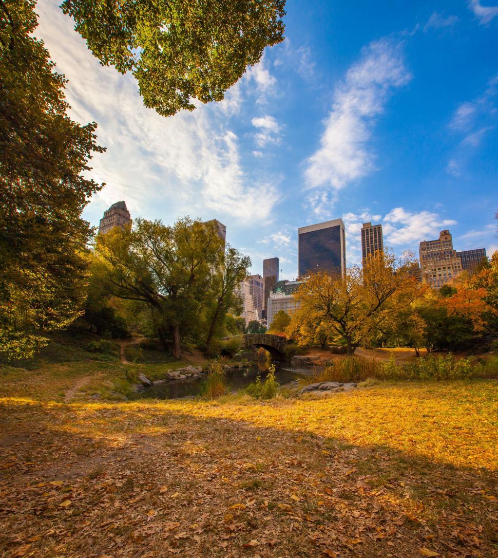 Free Image of Cityscape View From Autumn Park 