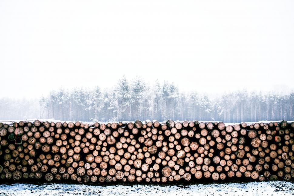 Free Image of Pile of Logs on Snow Covered Ground 
