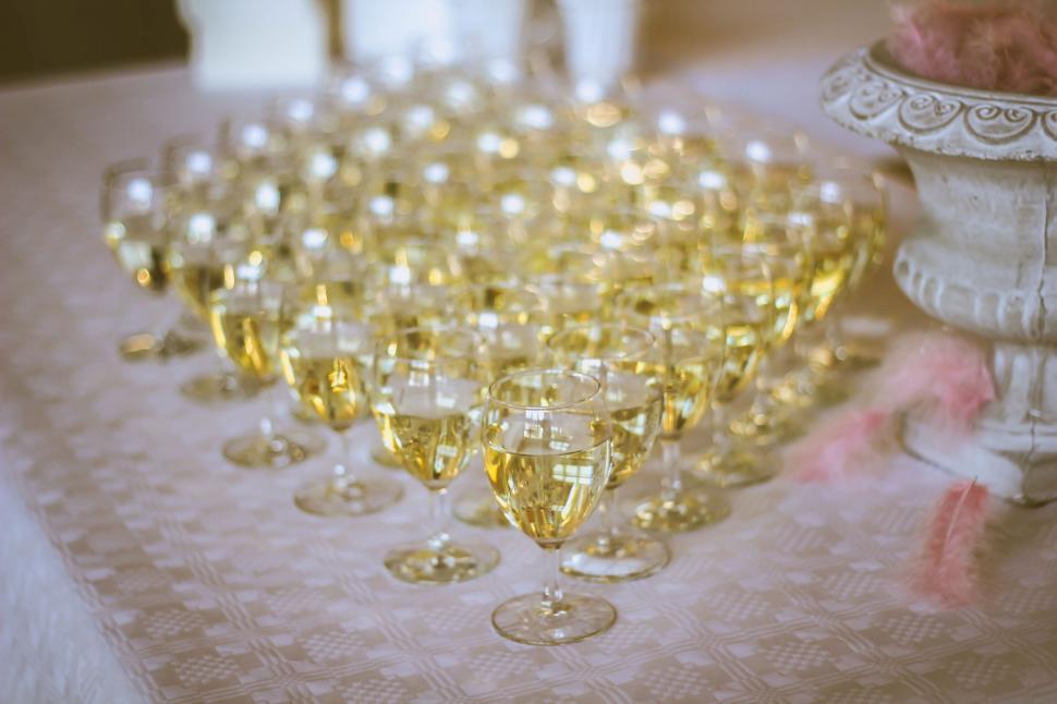 Free Image of Table Filled With Wine Glasses 