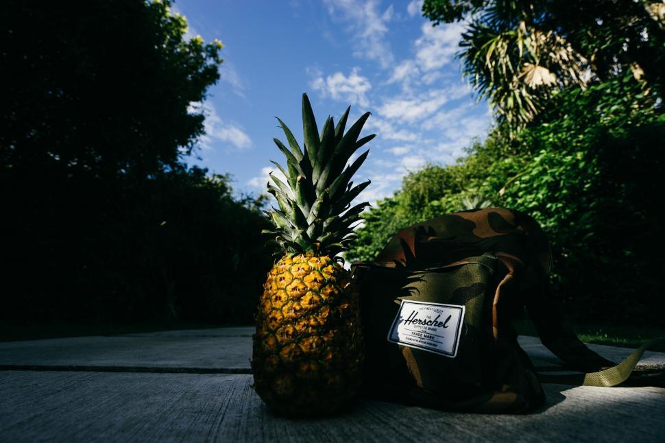 Free Image of Pineapple Sitting Next to Bag 