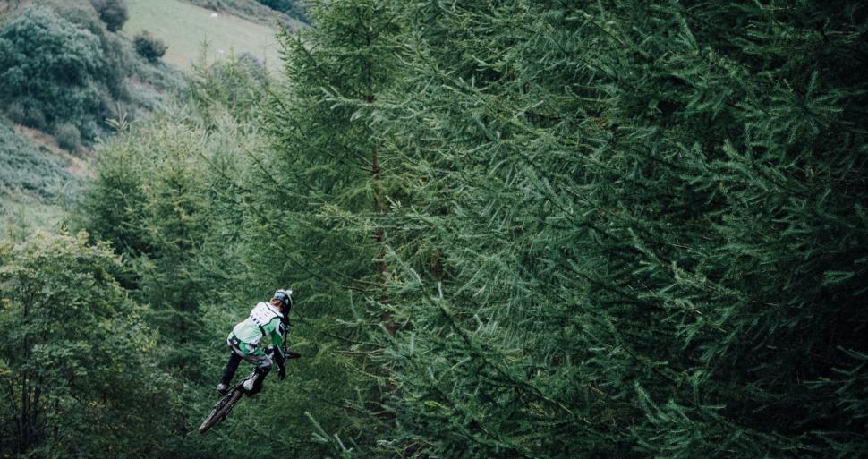 Free Image of Man Riding Bike Through Lush Green Forest 