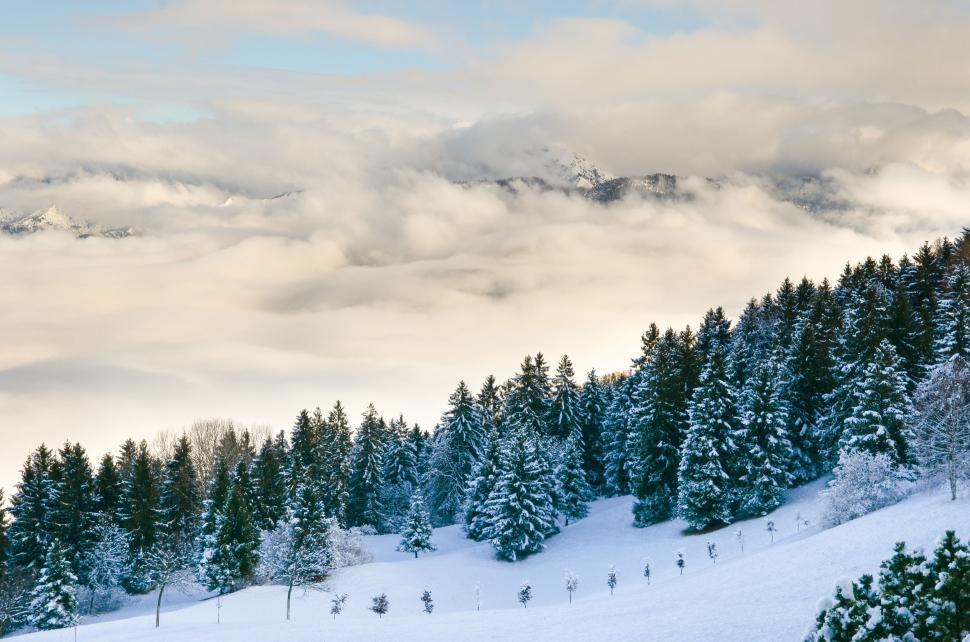 Free Image of Snowy Mountain With Trees and Clouds 