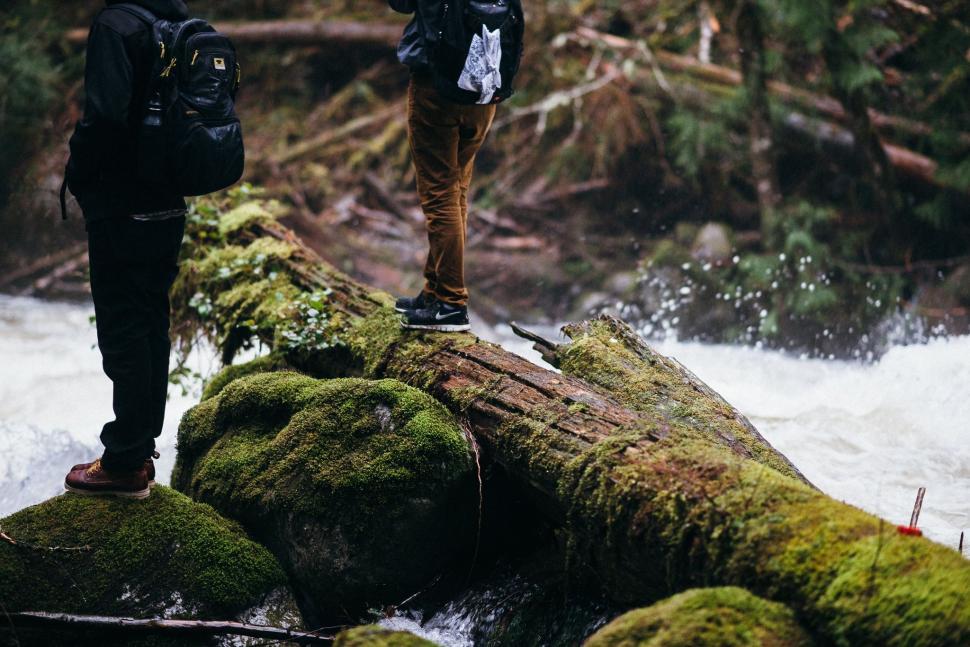 Free Image of Couple Standing on Moss Covered Log 