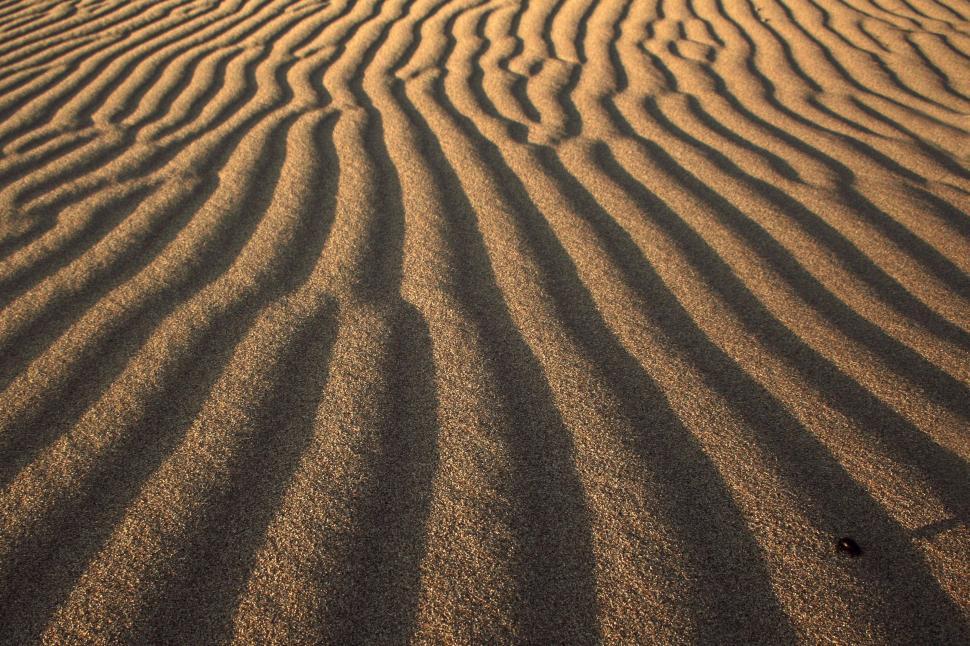 Free Image of Rippled Sand Dune Landscape 