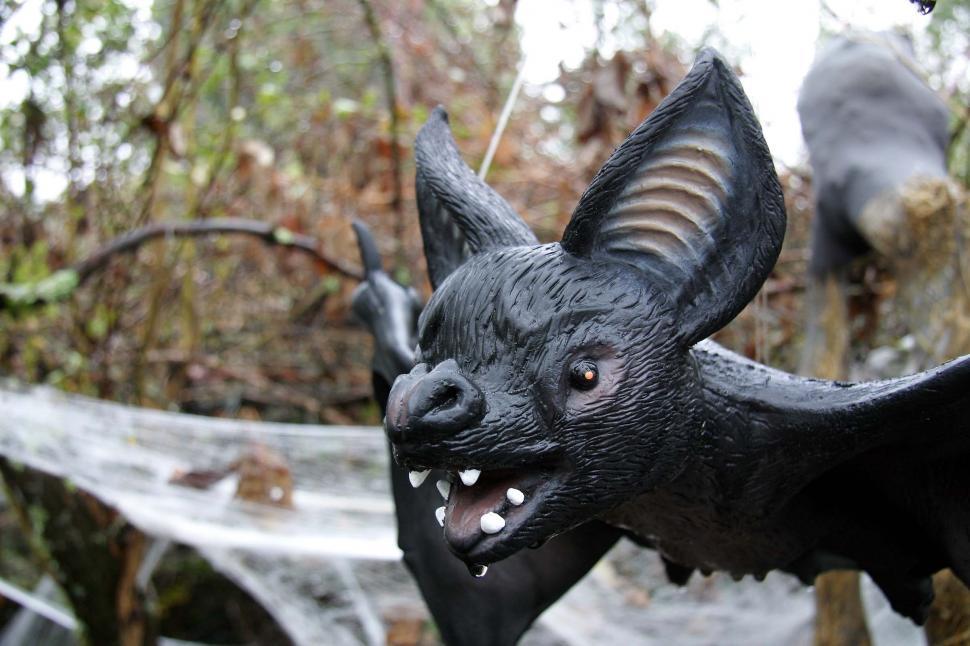 Free Image of halloween scary frightening spooky decoration haunted bat scare rubber 