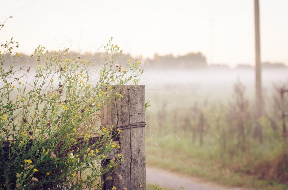 Free Image of Foggy Field With Wooden Fence 